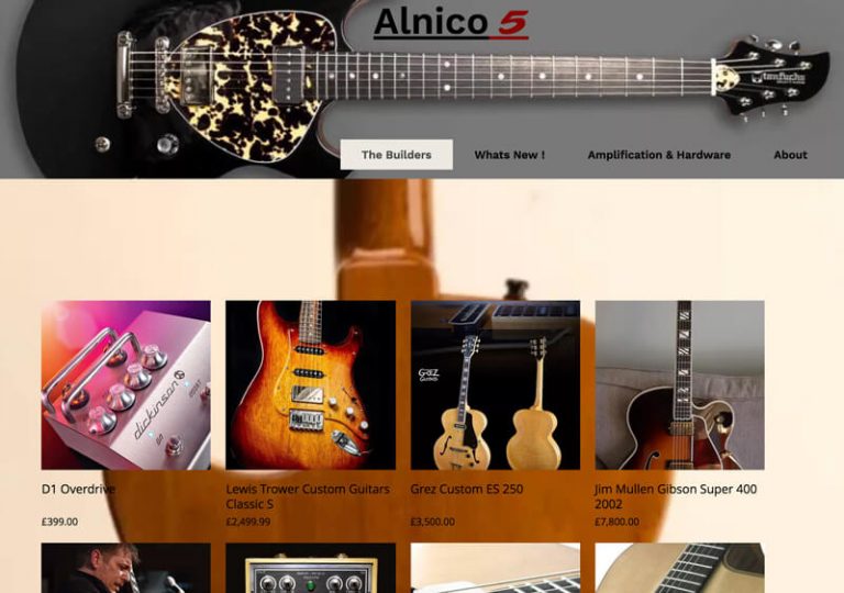 Dealers LT Custom Guitars